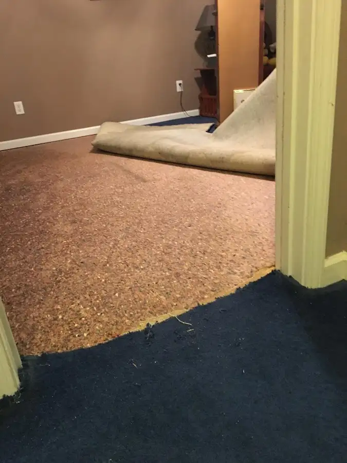 Carpet pad removal revealing water damage during Drying & Dehumidification in Loves Park