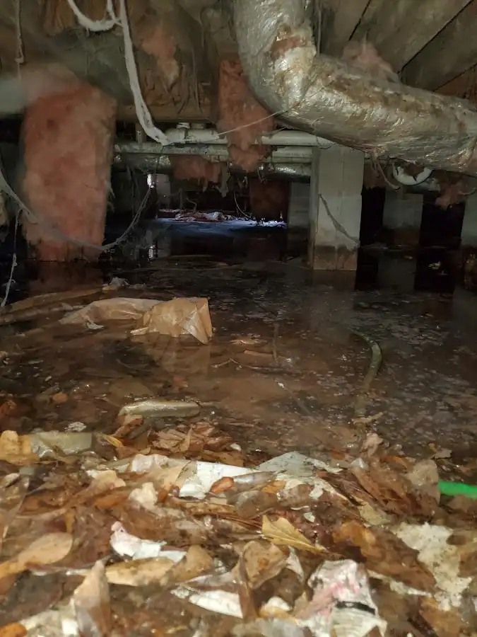 Crawl space flood assessment for Commercial Water Damage Restoration in Loves Park