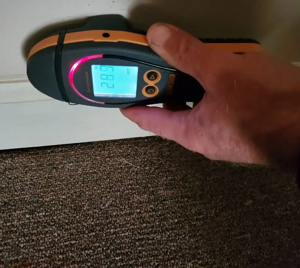 Moisture detection at baseboard during Mold Inspection & Testing in Loves Park